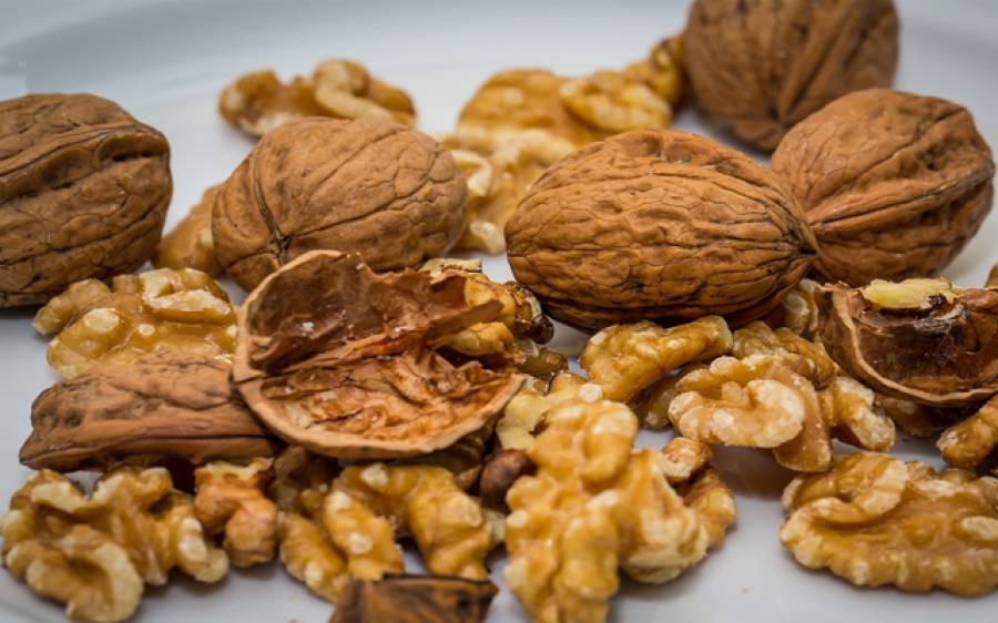 Amazing benefits of walnuts ThePakistanToday
