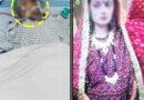 کراچی میں شوہر کا بیوی کے ساتھ غیر فطری جنسی عمل