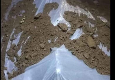 گھر والوں کی کال ضرور اٹینڈ کریں چاہے آپ کتنی مصروفیات میں ہوں