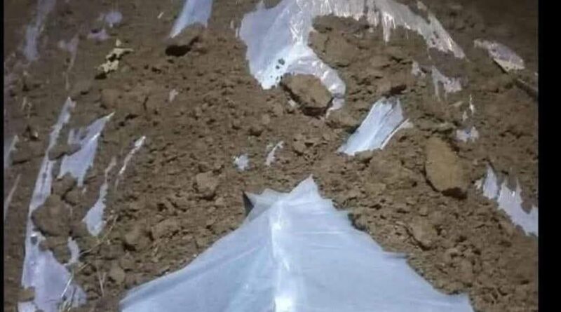 گھر والوں کی کال ضرور اٹینڈ کریں چاہے آپ کتنی مصروفیات میں ہوں