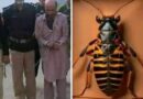 پشاور پولیس کی کارروائی، شخص کی جیب سے نکلنے والی ڈبیا نے سب کو حیران کردیا