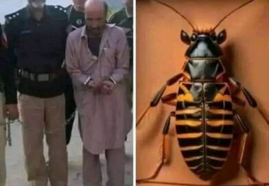 پشاور پولیس کی کارروائی، شخص کی جیب سے نکلنے والی ڈبیا نے سب کو حیران کردیا