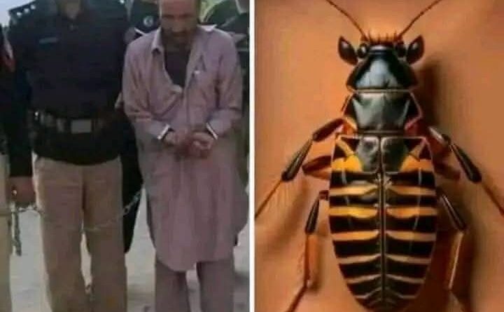 پشاور پولیس کی کارروائی، شخص کی جیب سے نکلنے والی ڈبیا نے سب کو حیران کردیا