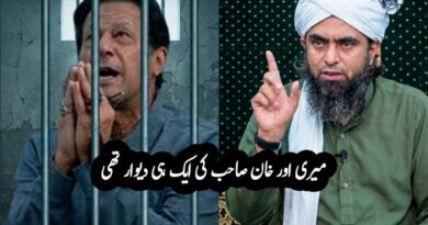 جیل میں عمران خان کی آواز آجاتی تھیوہ ایک دن کہہ رہے تھے کہ ، انجنئیر علی مرزا