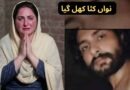 نواں کٹا کھل گیا : عمیری تو وڑ گیا