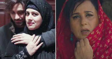 عارفہ صدیقی نے ایک شو میں کہا پہلے بوڑھے شخص سے شادی ہوئی اور اب جوان لڑکے سے شادی کی مگر جو چیز ..