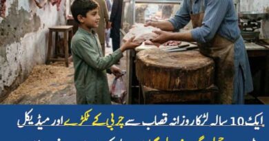 بچہ ، قصاب اور میڈیکل اسٹور والا بچہ ، قصاب اور میڈیکل اسٹور والا