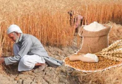کسانوں کیلئے بڑی خبر ۔۔۔ گندم کی نئی قیمت مقرر