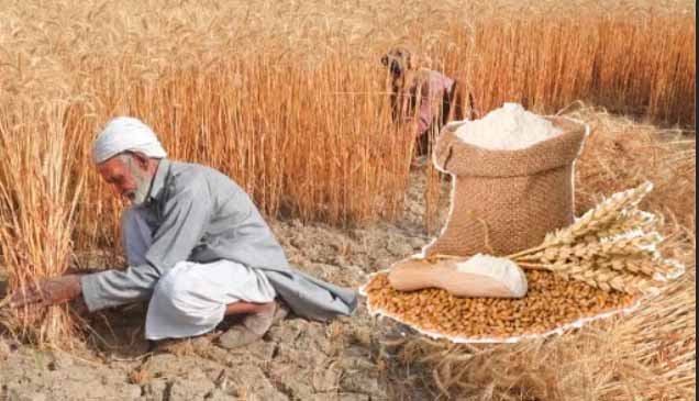 کسانوں کیلئے بڑی خبر ۔۔۔ گندم کی نئی قیمت مقرر
