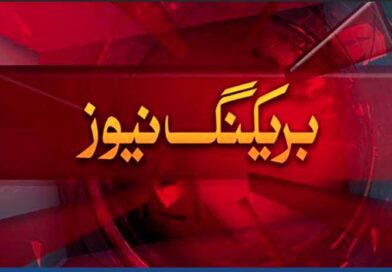 آرمی چیف کو عہدے سے ہٹا دیا گیا